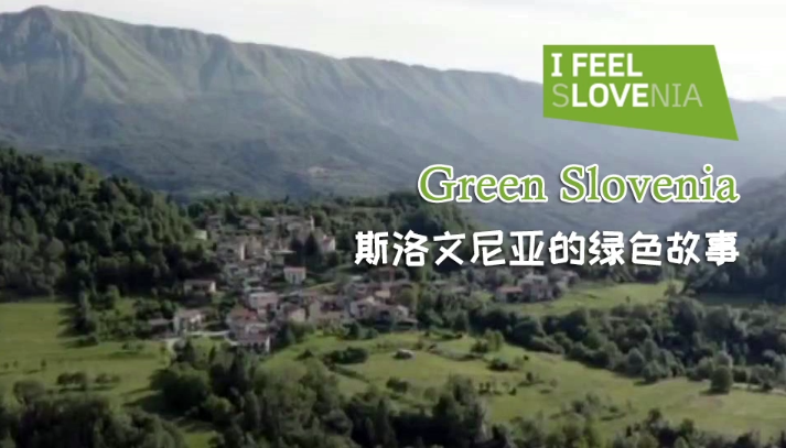 Green Story˹ǵɫ