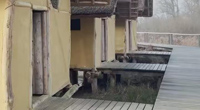 ˹UNESCOŲ | 7000ǰȾﶨˣ