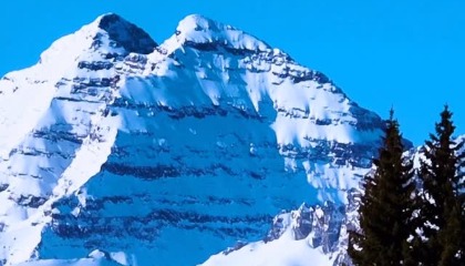 ��Snowmass�����ܶ���֮����